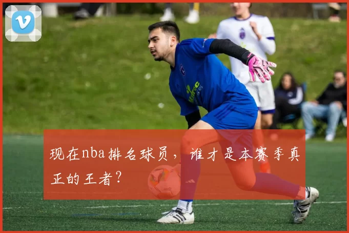 现在nba排名球员,谁才是本赛季真正的王者?