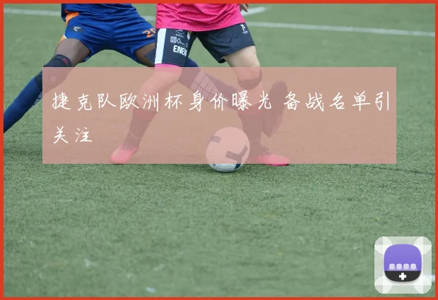 捷克队欧洲杯身价曝光 备战名单引关注