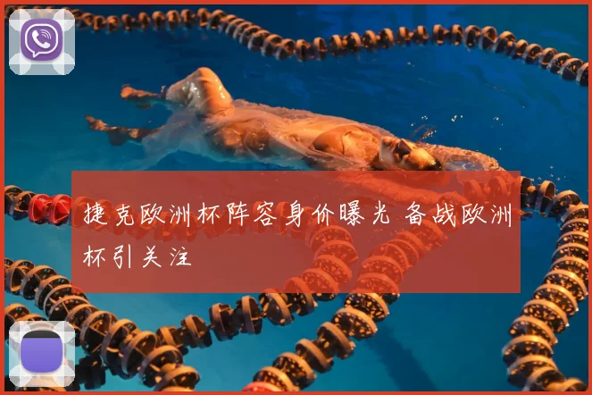 捷克欧洲杯阵容身价曝光 备战欧洲杯引关注