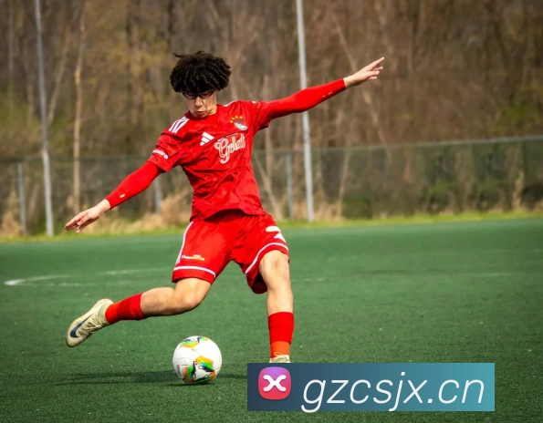 开云 - Kaiyun(体育中国)官方网站平台生态图